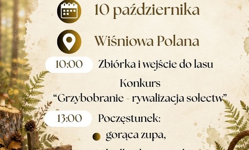 Zdjęcie do Zapraszamy na GRZYBOBRANIE w Dolicach