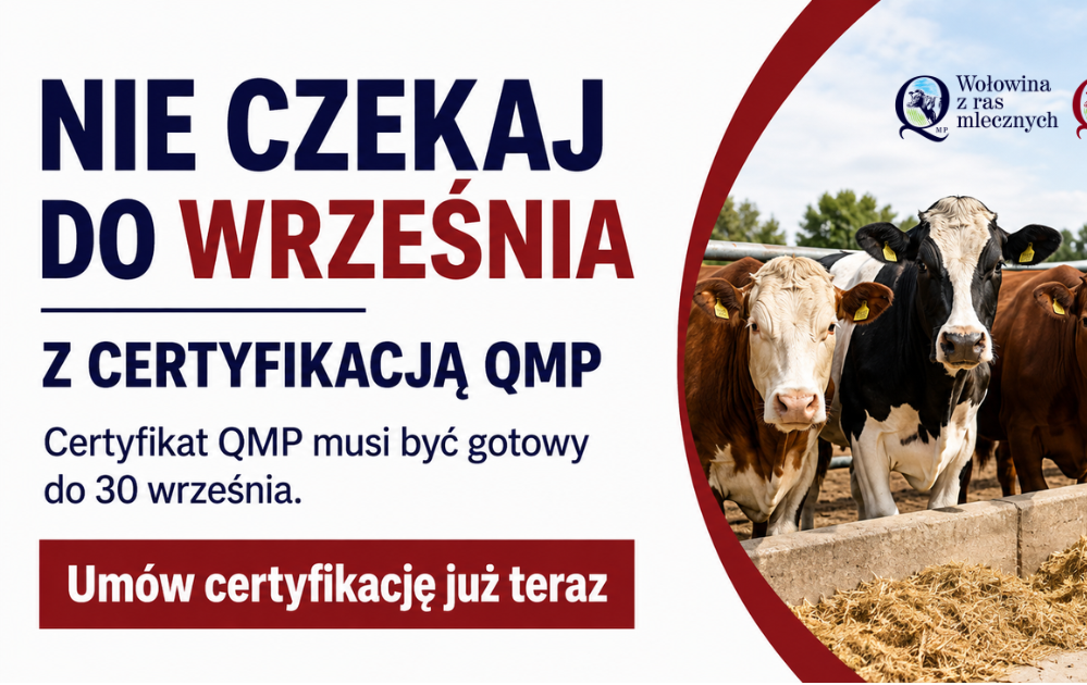 Zdjęcie artykułu z dnia 05-08-2026